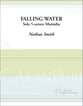 Falling Water Marimba Solo cover